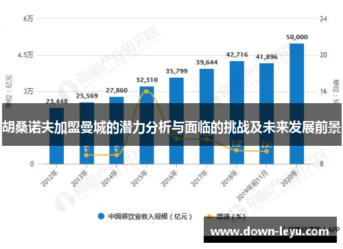 胡桑诺夫加盟曼城的潜力分析与面临的挑战及未来发展前景