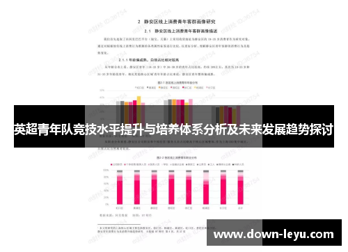 英超青年队竞技水平提升与培养体系分析及未来发展趋势探讨 英超青年队竞技水平提升与培养体系分析及未来发展趋势探讨