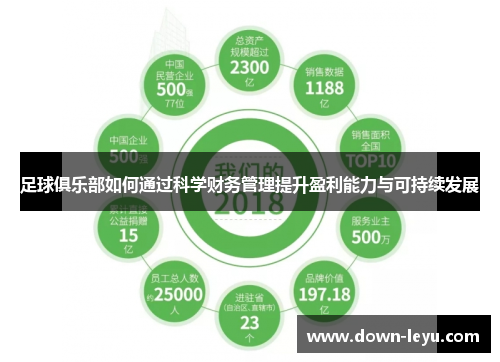 足球俱乐部如何通过科学财务管理提升盈利能力与可持续发展 足球俱乐部如何通过科学财务管理提升盈利能力与可持续发展