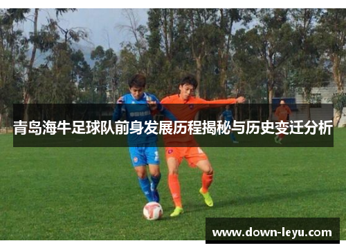 青岛海牛足球队前身发展历程揭秘与历史变迁分析