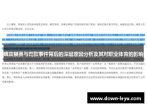 魏震禁赛与罚款事件背后的深层原因分析及其对职业体育的影响