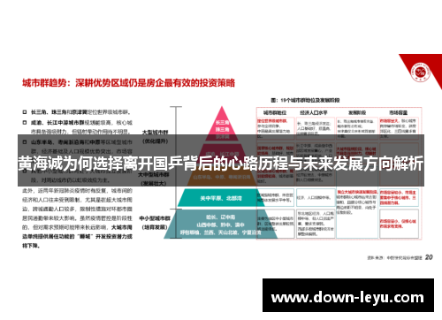 黄海诚为何选择离开国乒背后的心路历程与未来发展方向解析