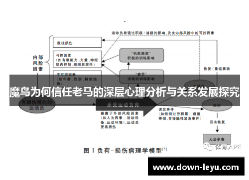 魔鸟为何信任老马的深层心理分析与关系发展探究