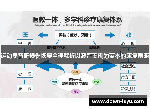 运动员肾脏损伤恢复全程解析以波普案例为蓝本的康复策略